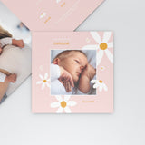 Unsere Hübsche Blume Im Bild