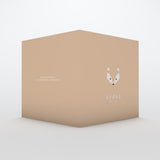 Renard Minimaliste