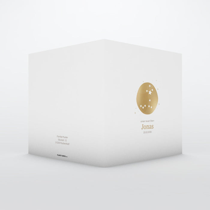 Geburtskarten Poisson