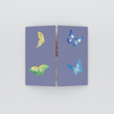 Petits papillons