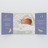 Petits papillons