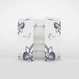 Art nouveau et arabesque