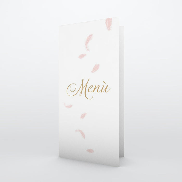 #lang=IT,format=DL1G,color=Misty rose,Cut=RC0
