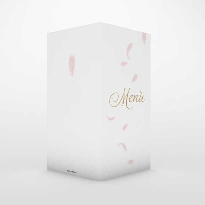 #lang=IT,format=DL1G,color=Misty rose,Cut=RC0