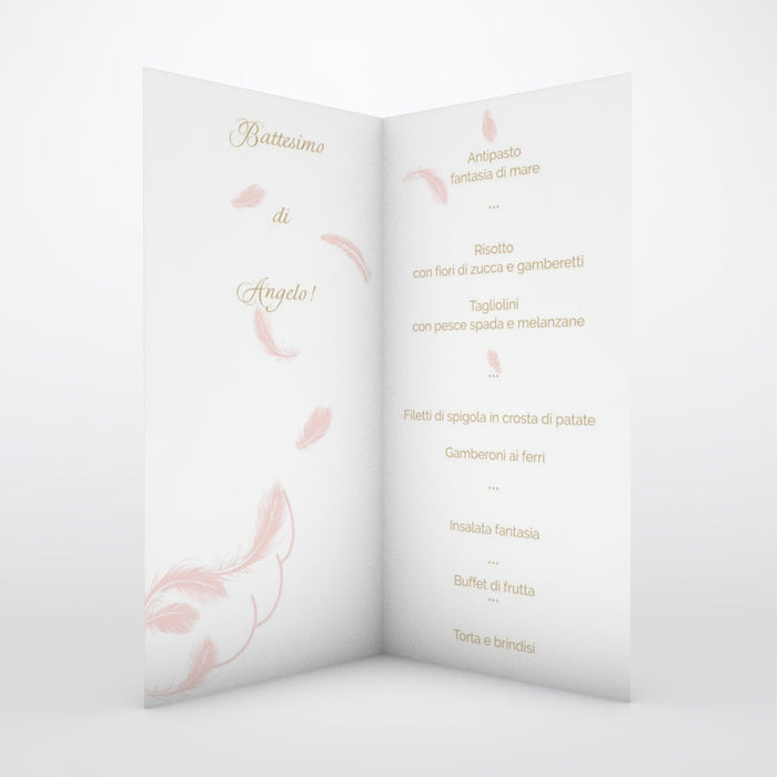 #lang=IT,format=DL1G,color=Misty rose,Cut=RC0