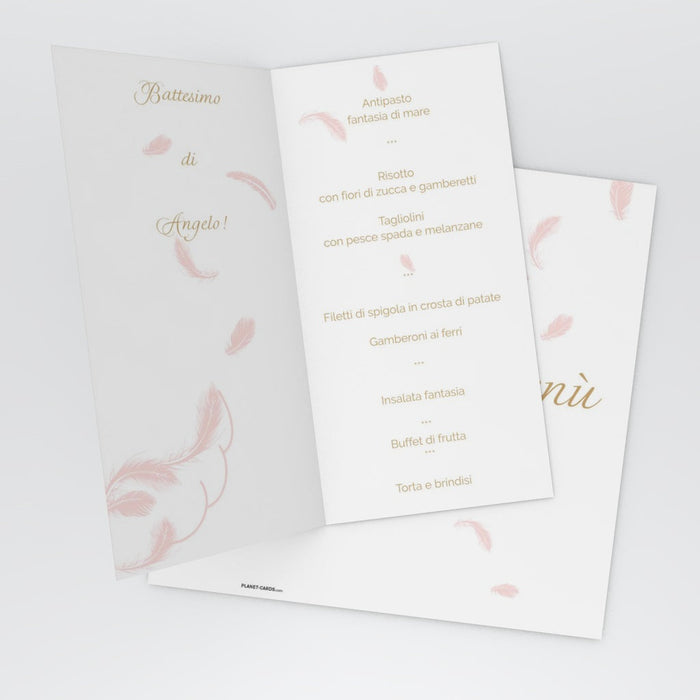 #lang=IT,format=DL1G,color=Misty rose,Cut=RC0