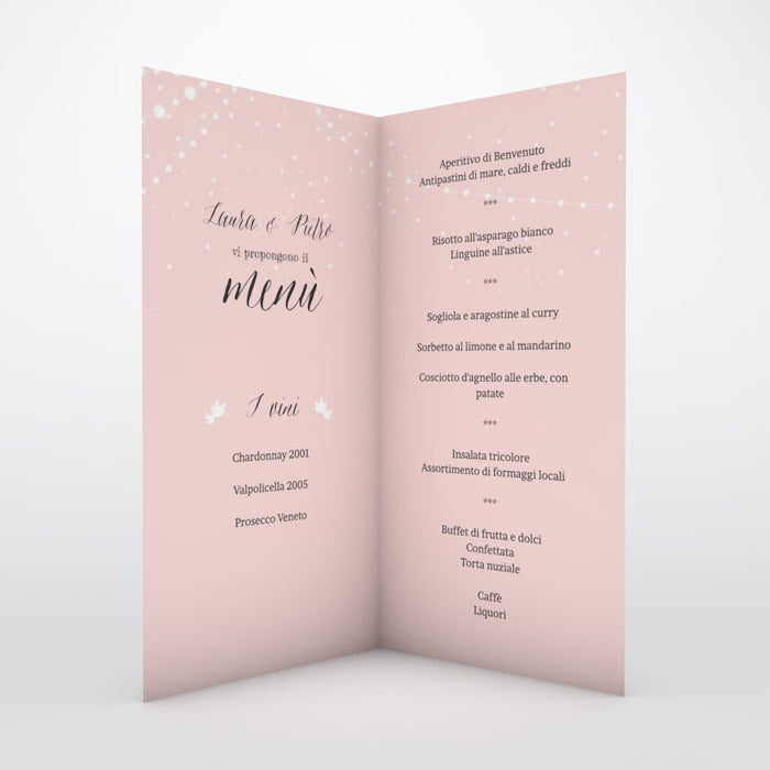 #lang=IT,format=DL1G,color=Misty rose,Cut=RC0