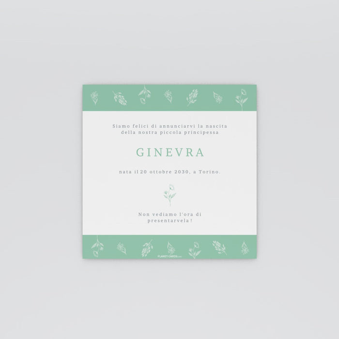 #lang=IT,format=CRV,color=Mint cream,Cut=RC0