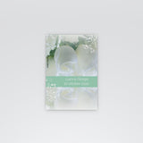 Bouquet bianco