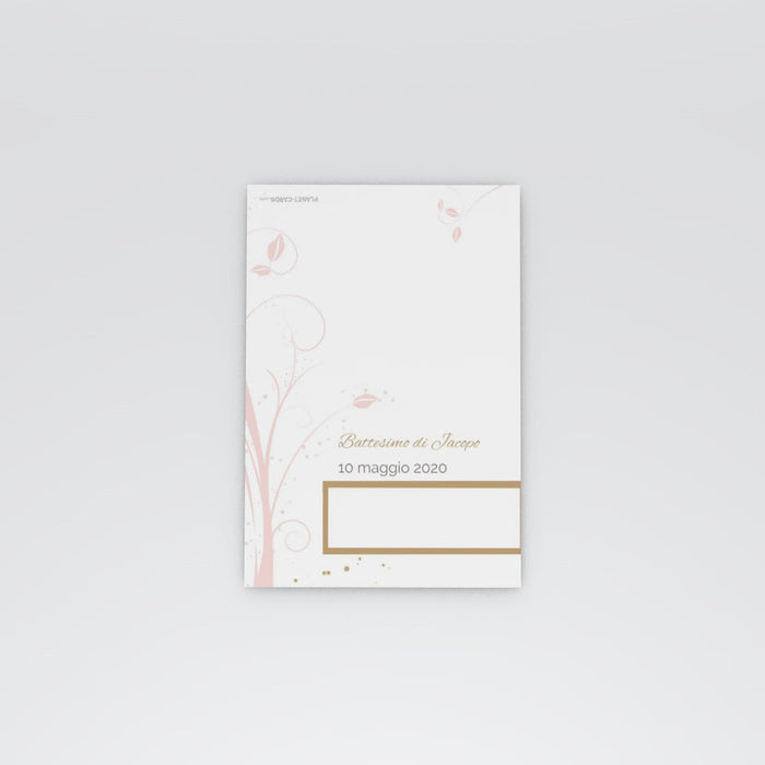 #lang=IT,format=MP,color=Misty rose,Cut=RC0