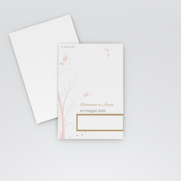 #lang=IT,format=MP,color=Misty rose,Cut=RC0