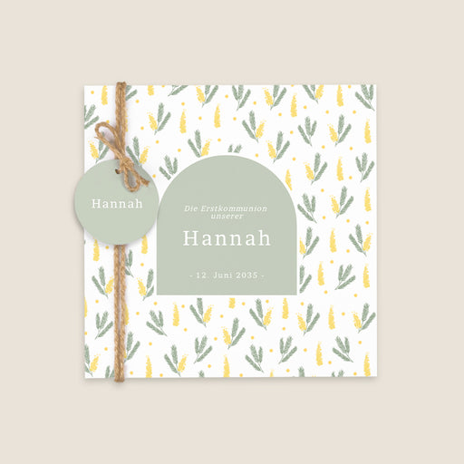 #lang=DE,format=CFG,Accessoiries=FINA