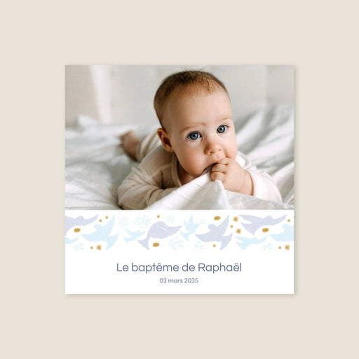 #lang=FR,format=CRV,Cut=RC0