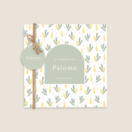 #lang=FR,format=CFG,Accessoiries=FINA