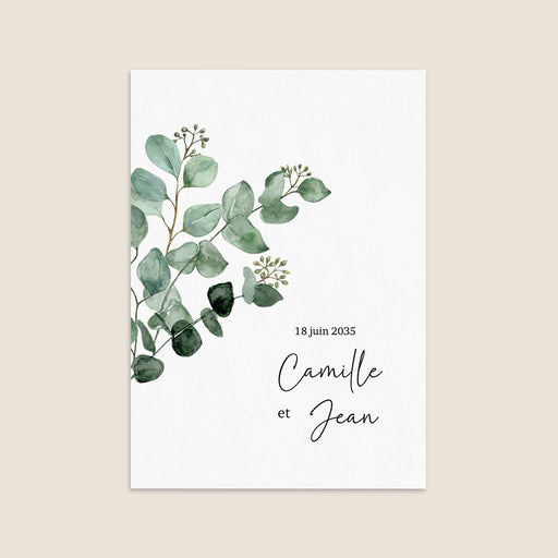 #lang=FR,format=G3RV,Cut=RC0