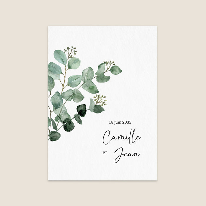Les iconiques de Planet Cards Eucalyptus