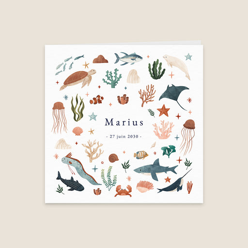 #lang=FR,format=CG,Cut=RC0