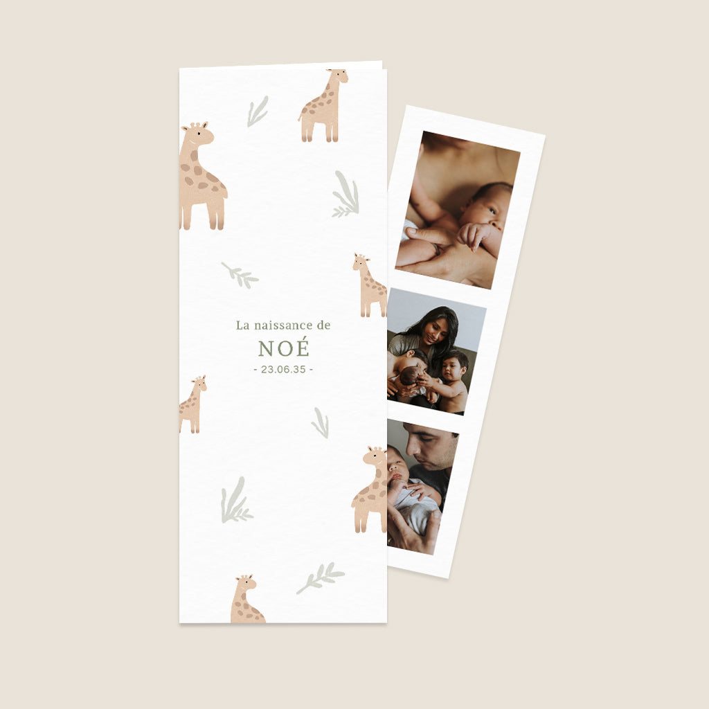 Petites Girafes