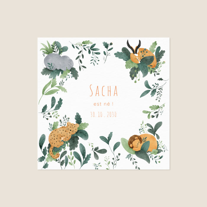 Les iconiques de Planet Cards Savane Endormie