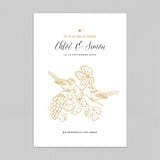 Oiseaux et vignes