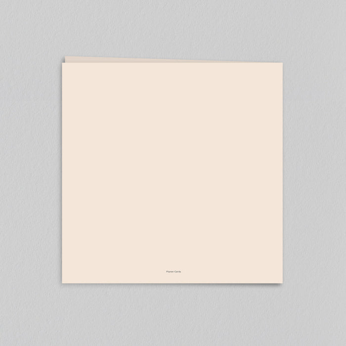 #lang=DE,format=CG,color=Champagne,Cut=RC1