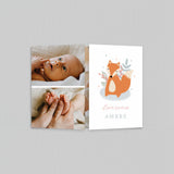 Mon Doux Renard