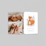 Mon Doux Renard
