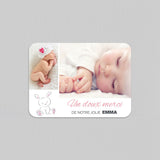 Petit lapin et photos