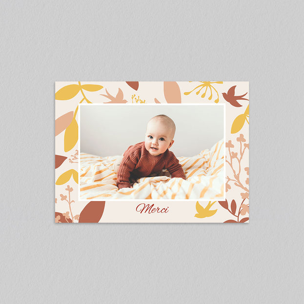 Douceur De La Nature