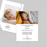 Rittersporn und Piktogramme
