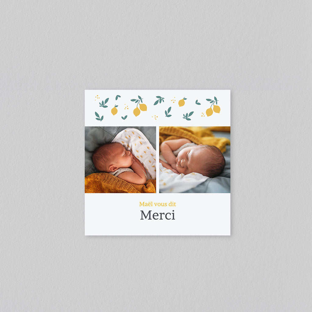 #lang=FR,format=MCRV