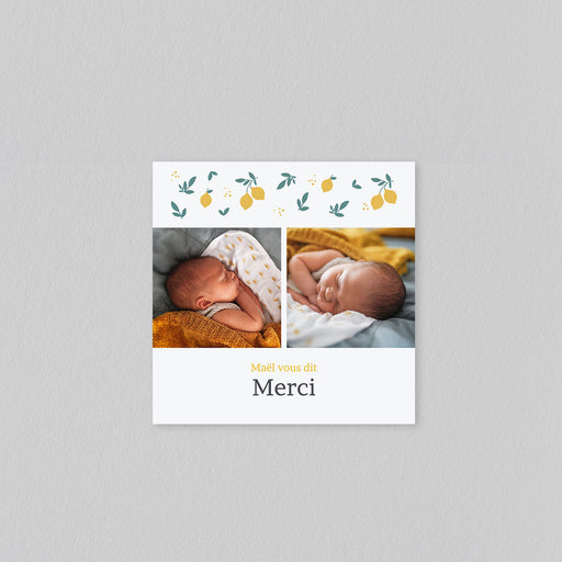 #lang=FR,format=MCRV