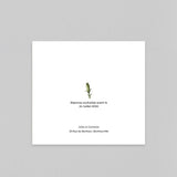 Herbier Sauvage