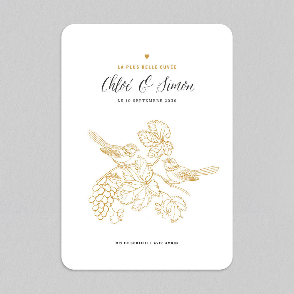 Oiseaux et vignes