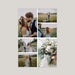 poster-photocollage#lang=DE